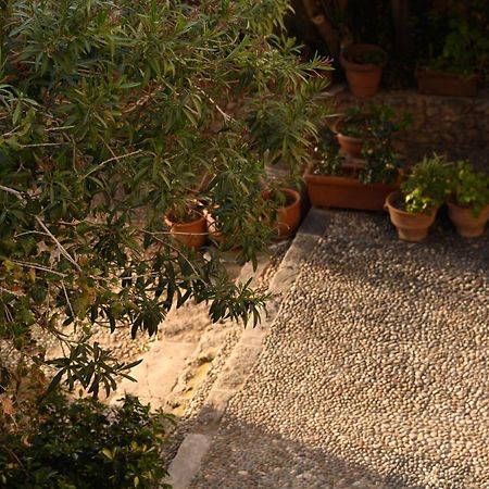 Casa Artia Villa Chania  Buitenkant foto